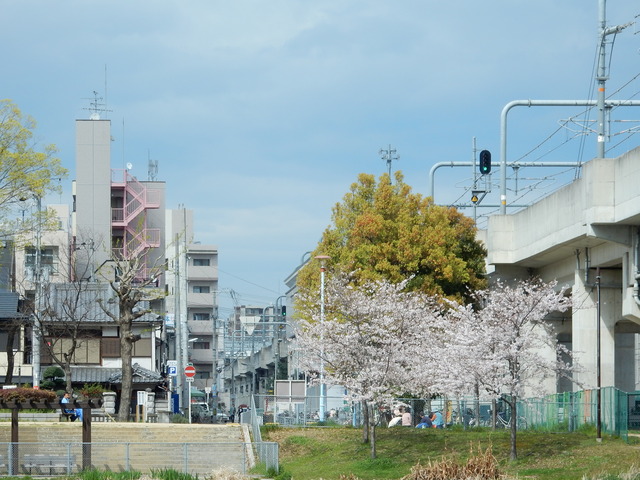 DSCN7499