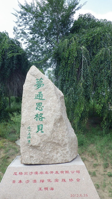IMGP2263