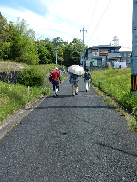 DSCN2308