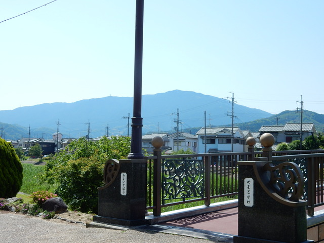 DSCN8304