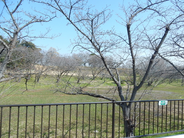 DSCN7674