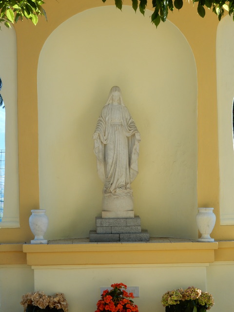 DSCN2545