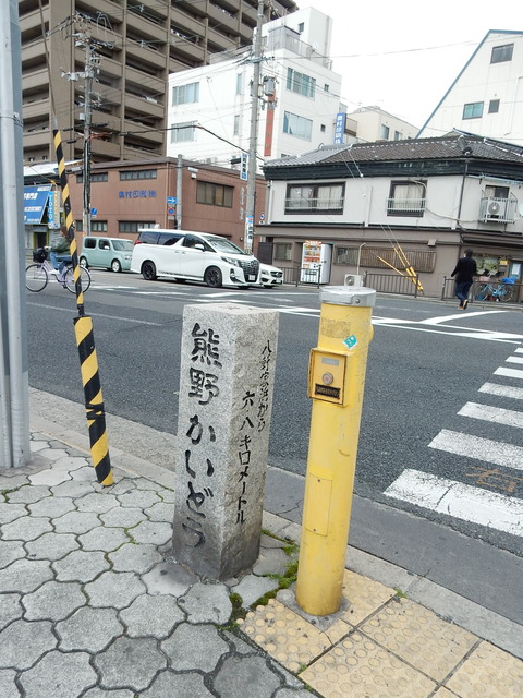 DSCN5805