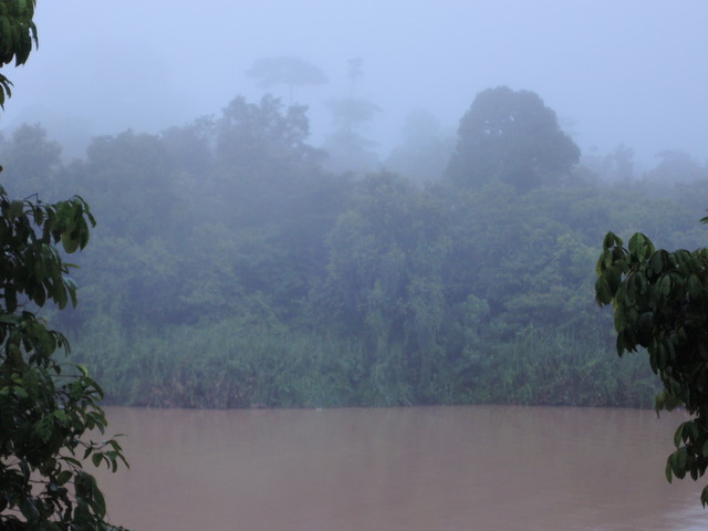 DSCN0406