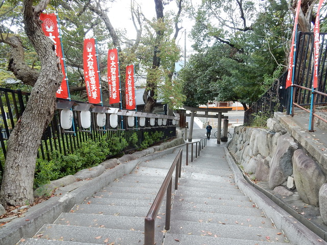 DSCN5804