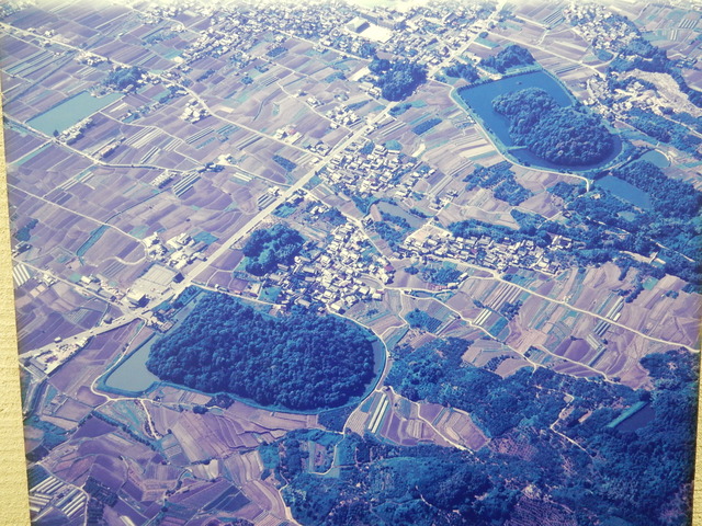 DSCN8406