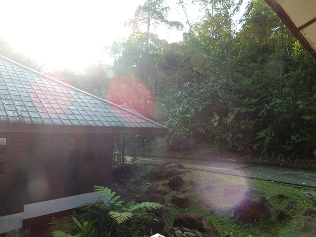 DSCN3943