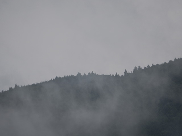 P9287379