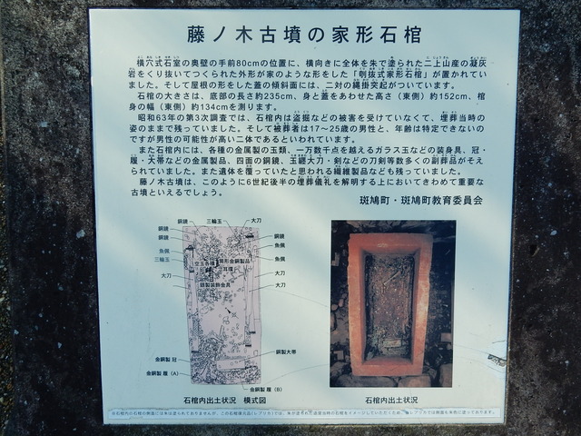 DSCN9798