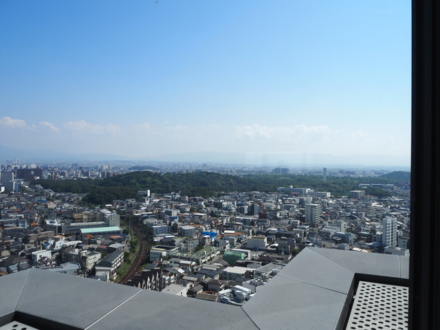 P9077172