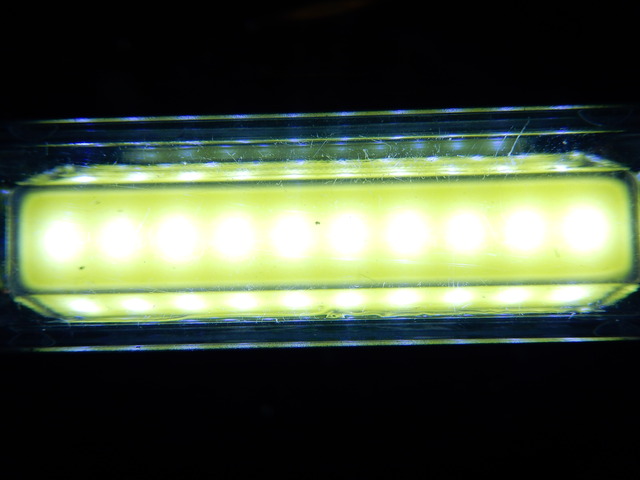 DSCN1151