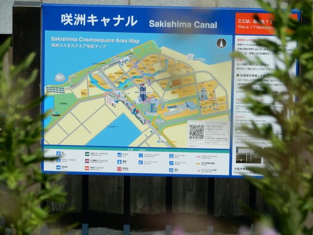 DSCN7219