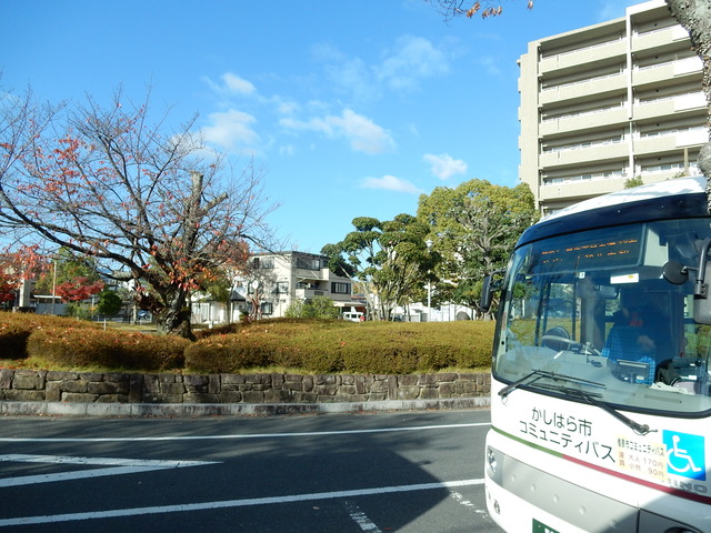 DSCN4827