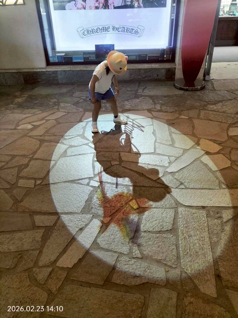 LINE_ALBUM_2026.2.24㈪HAWAII3日目アトランティス潜水艦ツアー&Kiyomiおにぎり_260301_28