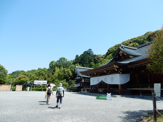 DSCN8331