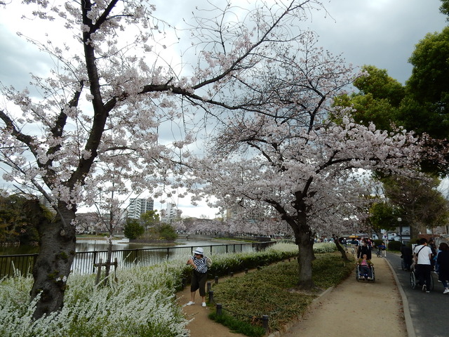 DSCN7453