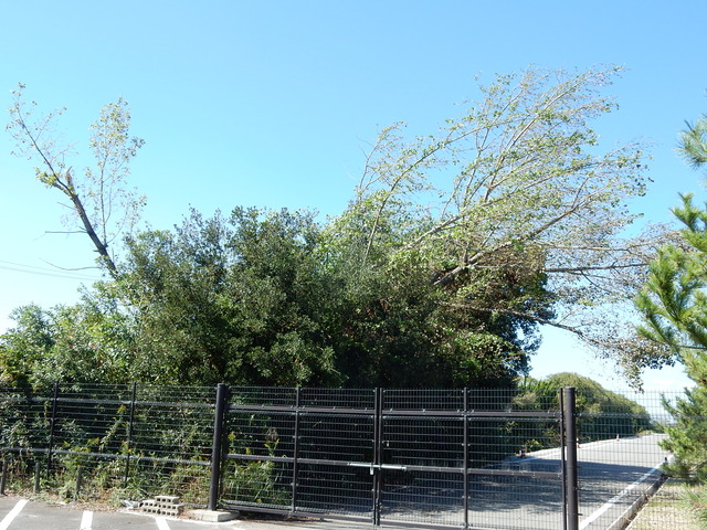 DSCN0086