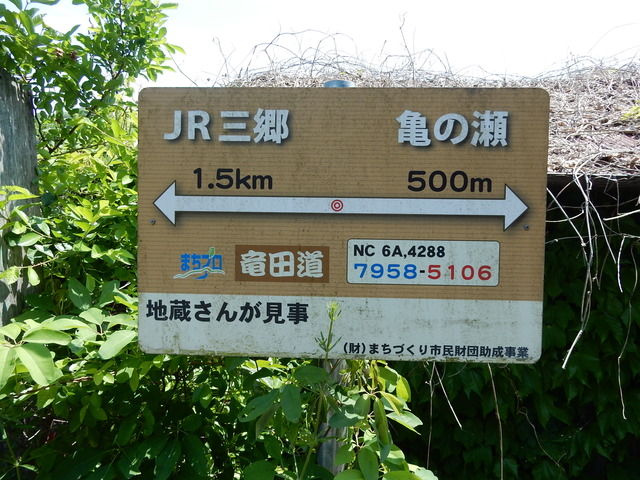 DSCN2426