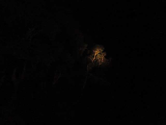 DSCN0767