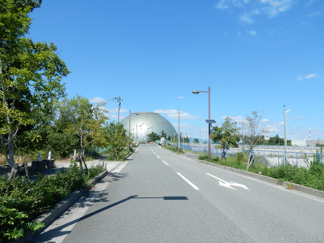 DSCN7212