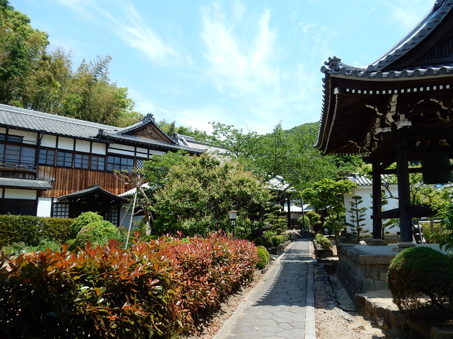 DSCN2350