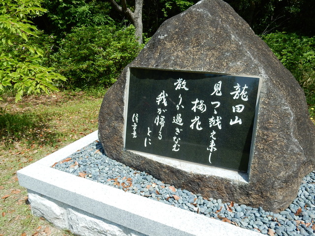 DSCN2313