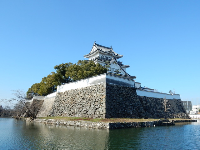 DSCN9000