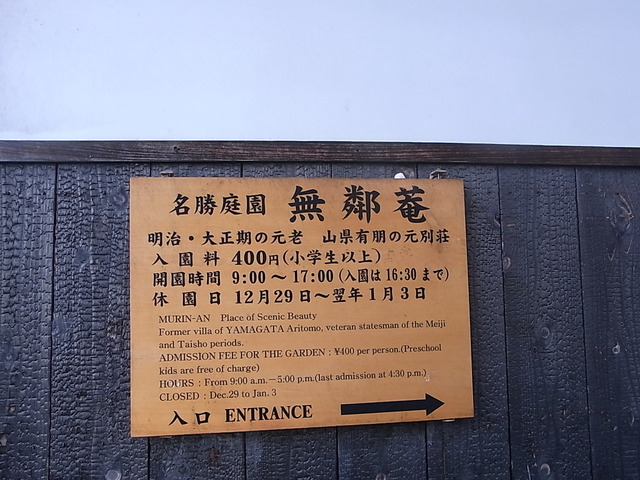 RIMG6278