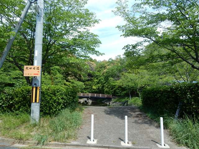 DSCN2306