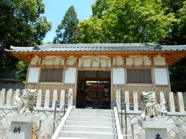 DSCN2371