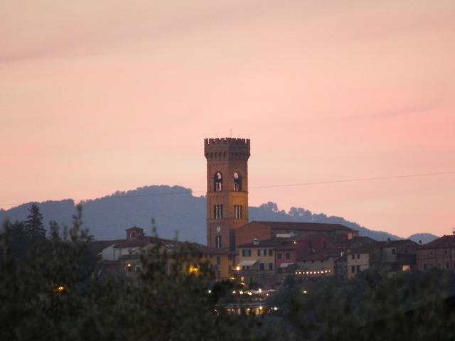 DSCF4979