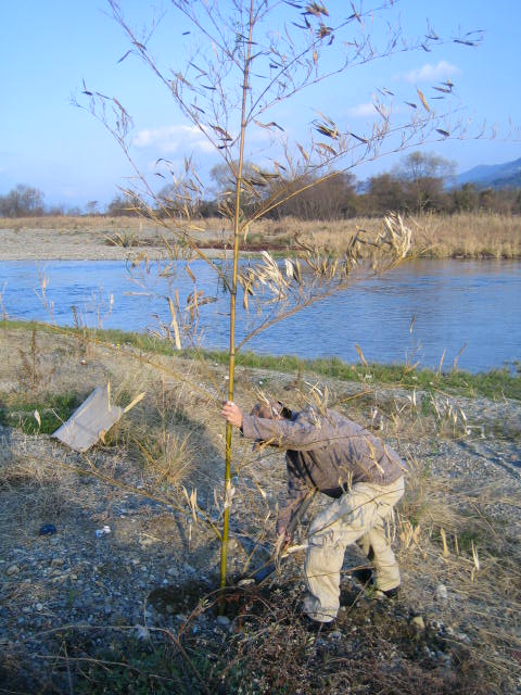 dd7c1a88.jpg
