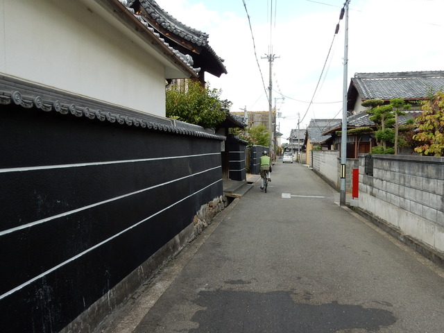 DSCN8847