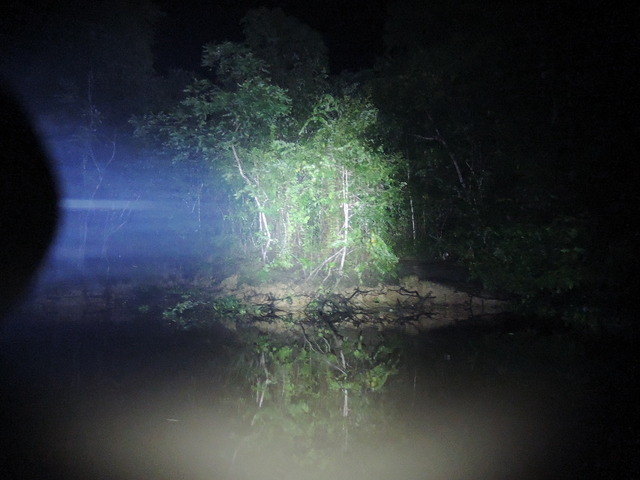 DSCN0787