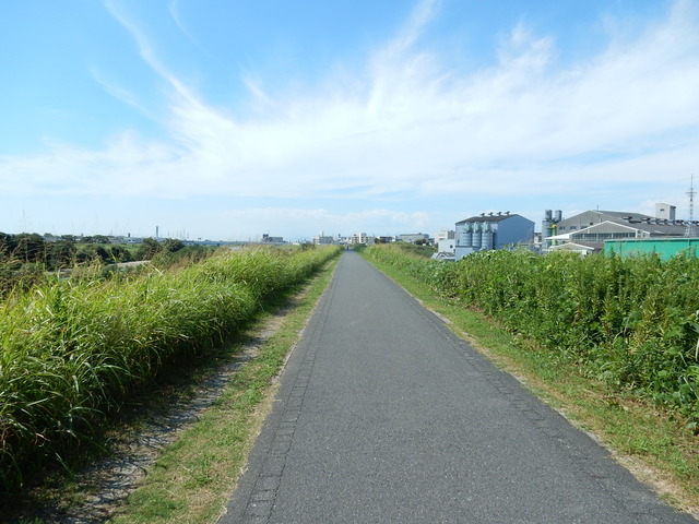 DSCN7121