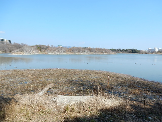 DSCN9155