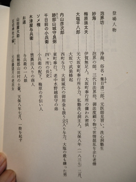 P6159063
