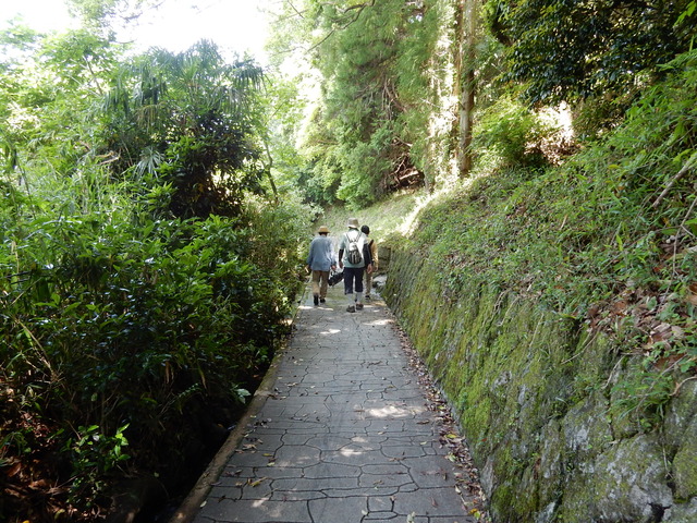 DSCN8354