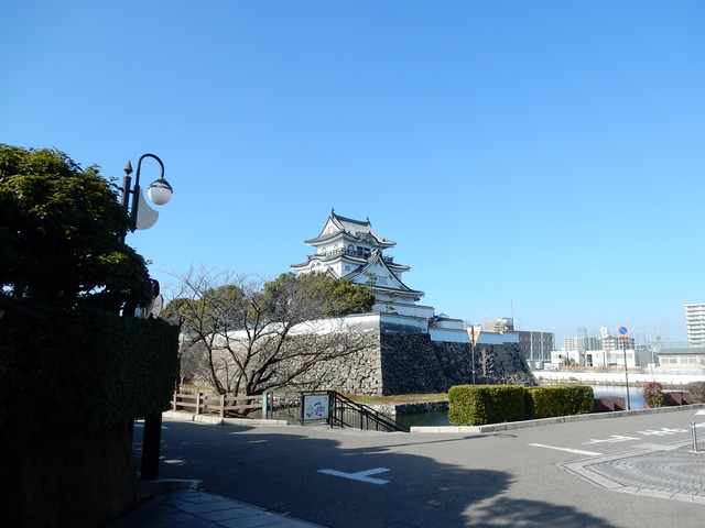 DSCN8998