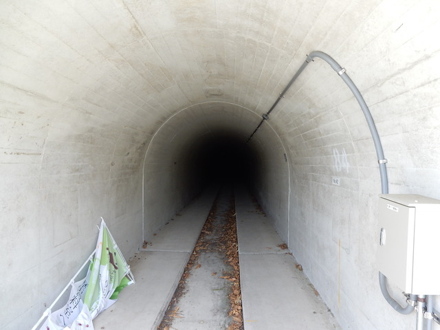 DSCN2414