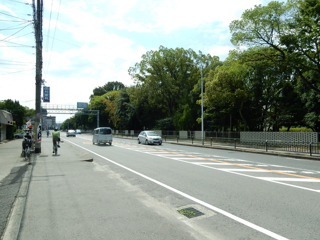 DSCN8801