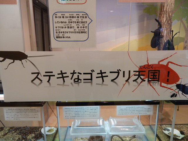 DSCN4870