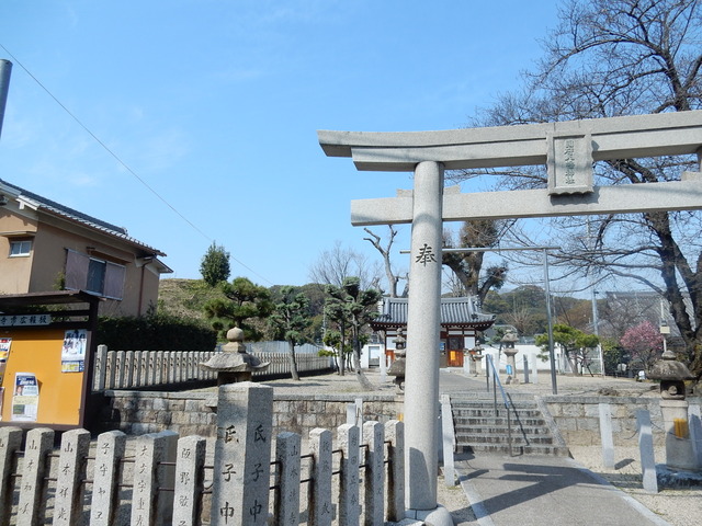 DSCN7627