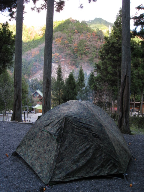 e5b61334.jpg