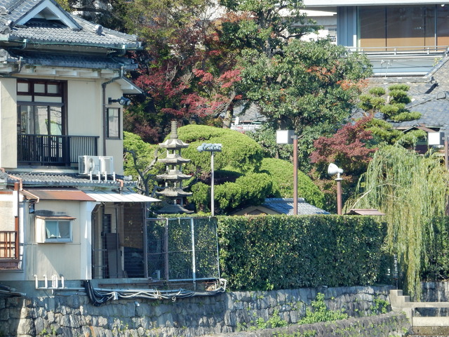 DSCN6833
