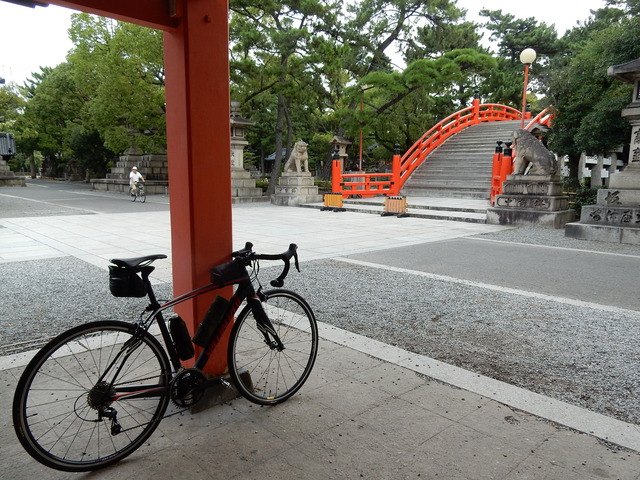 DSCN8787