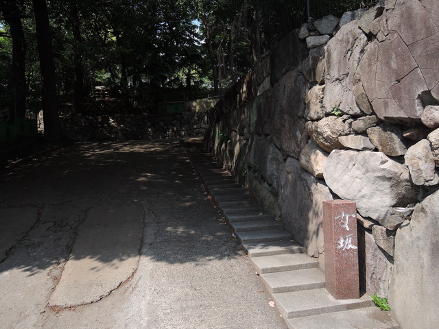DSCN2294
