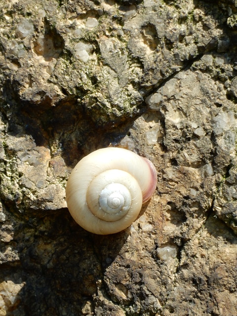 DSCN1104