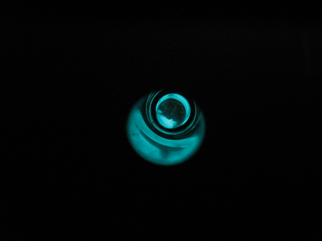 e86517d0.jpg