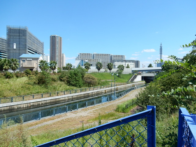 DSCN7217